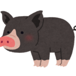 【方言】「アグー」の意味と例文