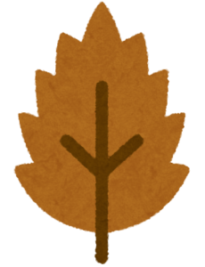 【方言】「がしゃっぱ」の意味と例文